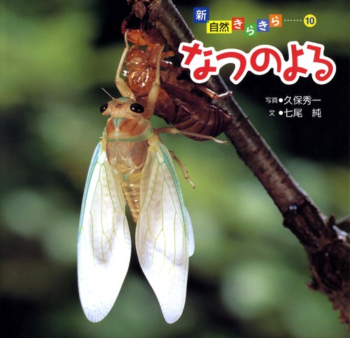 なつのよる