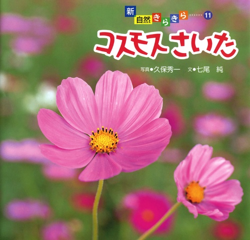 コスモスさいた