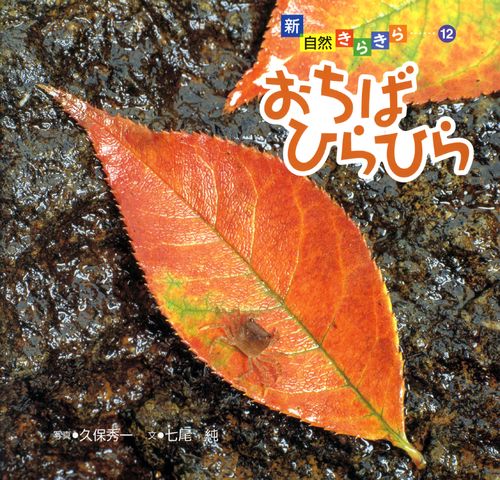 おちばひらひら