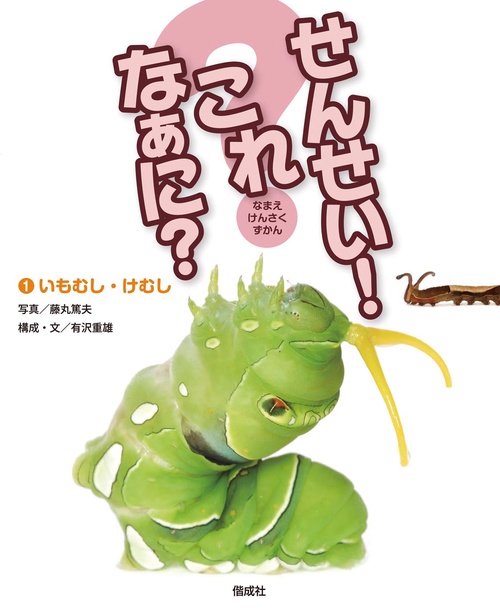 せんせい!これなあに? なまえしらべずかん 1