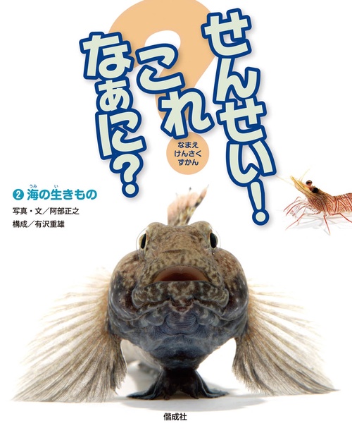 せんせい!これなあに? なまえしらべずかん 2