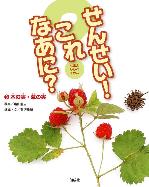 せんせい!これなあに? なまえしらべずかん 3