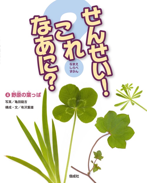 せんせい!これなあに? なまえしらべずかん 4
