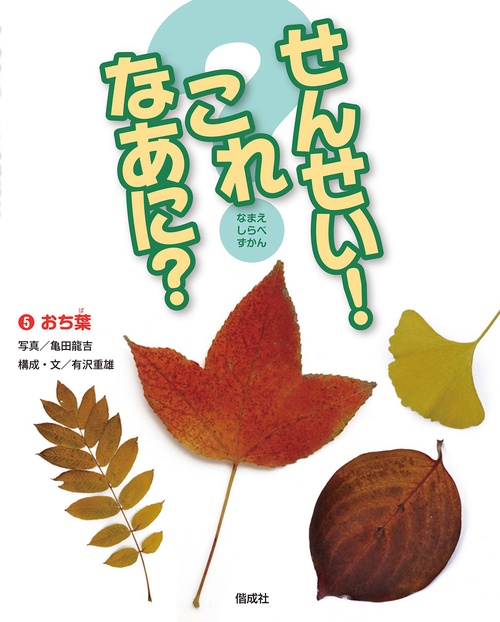 せんせい!これなあに? なまえしらべずかん 5
