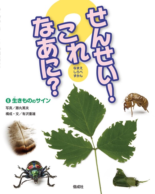 せんせい!これなあに? なまえしらべずかん 6