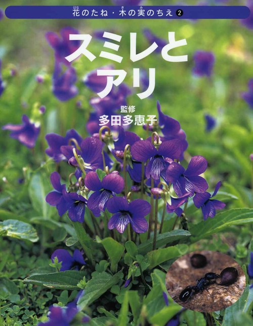 花のたね・木の実のちえ 2