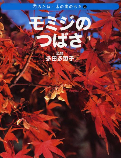 花のたね・木の実のちえ 3
