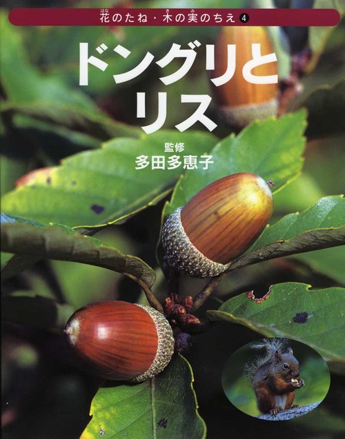 花のたね・木の実のちえ 4