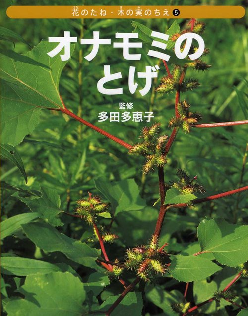 花のたね・木の実のちえ 5