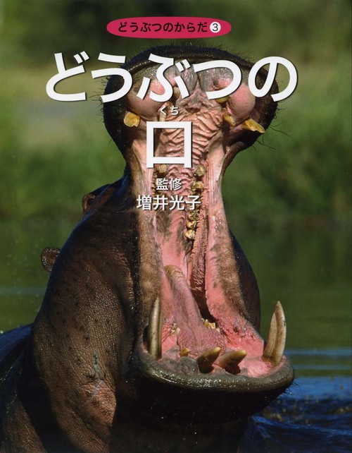 どうぶつのからだ 3