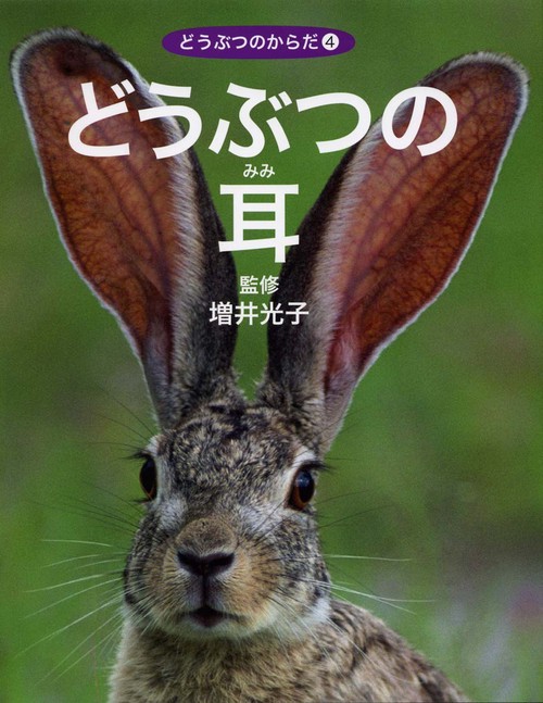 どうぶつのからだ 4