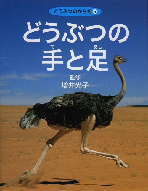 どうぶつのからだ 5