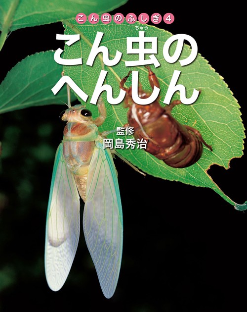こん虫のふしぎ 4