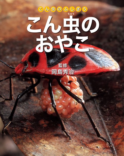 こん虫のふしぎ 5