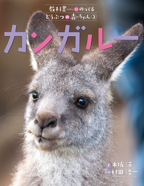 カンガルー