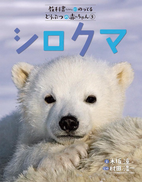 シロクマ