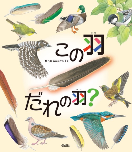 この羽だれの羽?