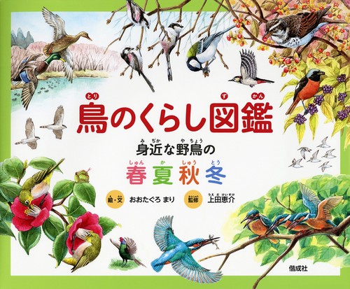 鳥のくらし図鑑 身近な野鳥の春夏秋冬