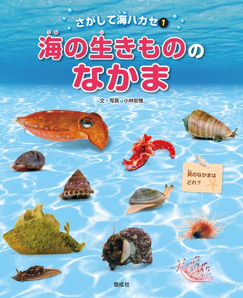 さがして海ハカセ 1