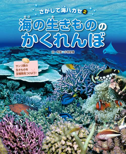 さがして海ハカセ 2