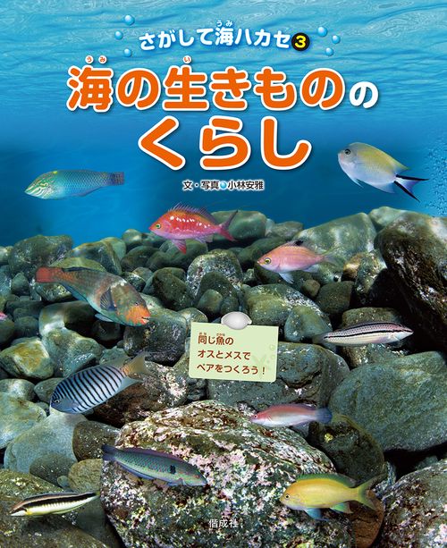 さがして海ハカセ 3