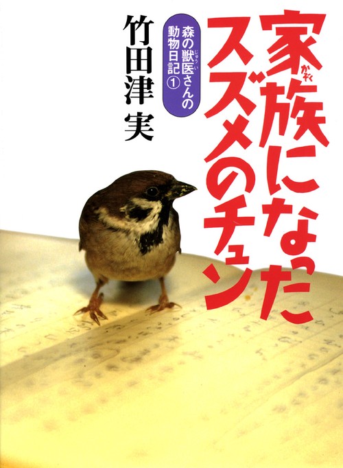 家族になったスズメのチュン