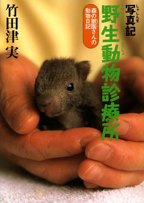 写真記野生動物診療所