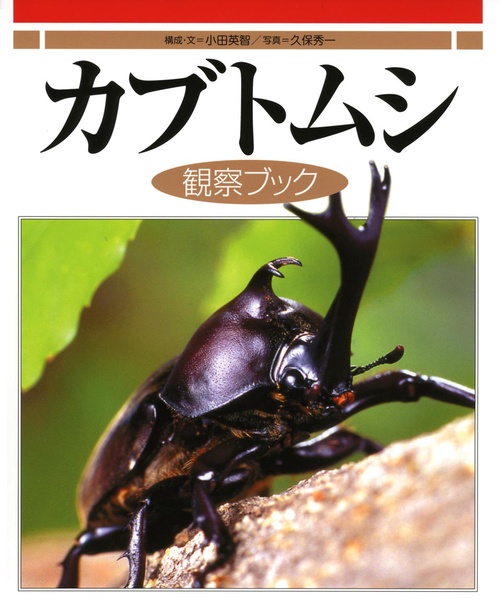 カブトムシ観察ブック