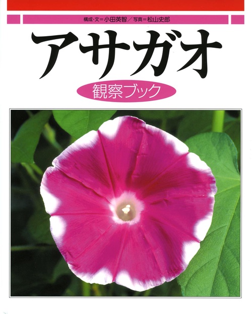 アサガオ観察ブック
