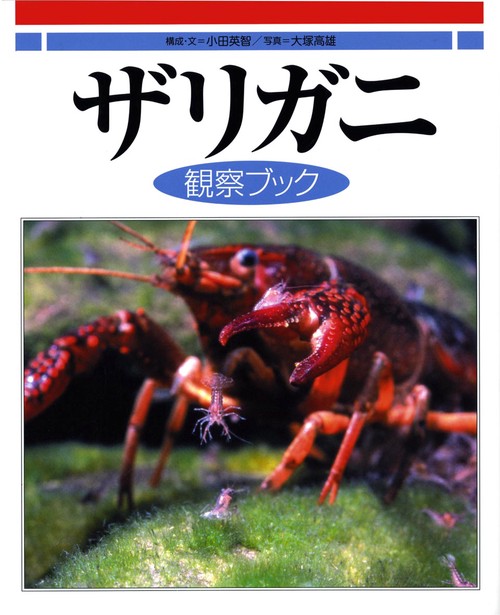 ザリガニ観察ブック