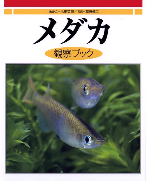 メダカ観察ブック