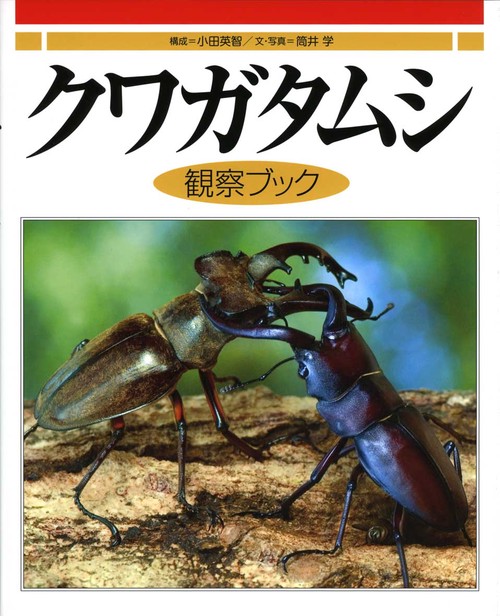 クワガタムシ観察ブック