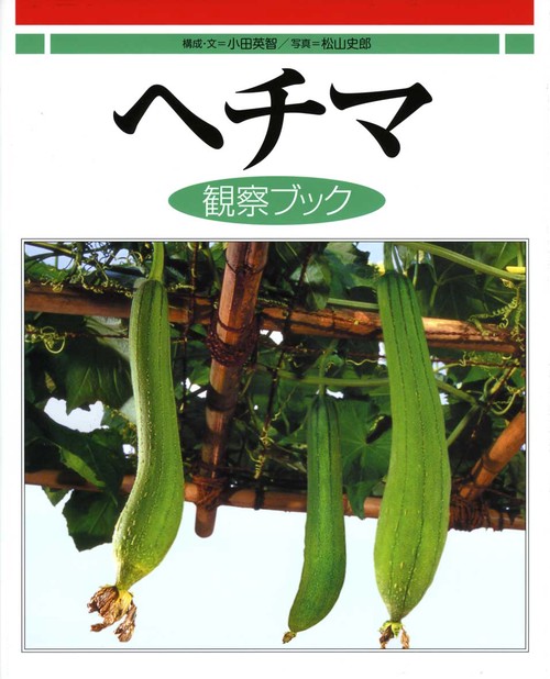 ヘチマ観察ブック