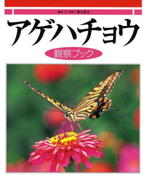 アゲハチョウ観察ブック
