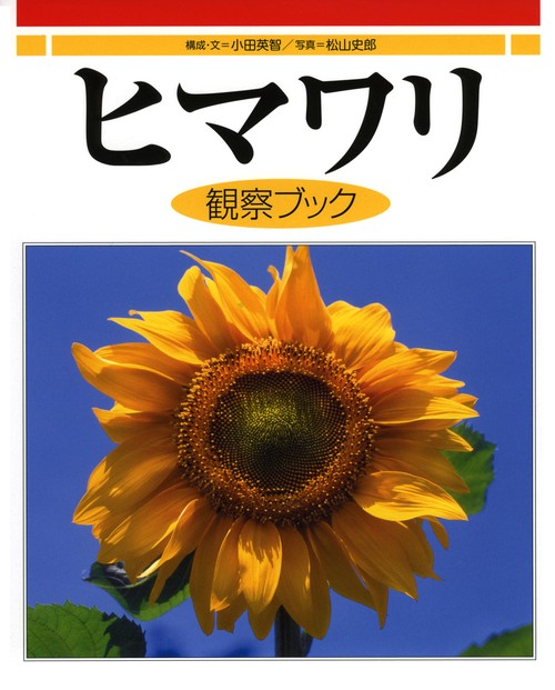 ヒマワリ観察ブック