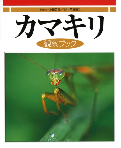 カマキリ観察ブック