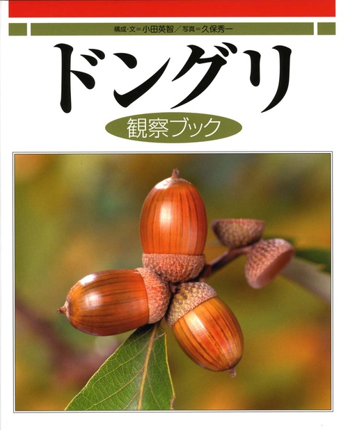 ドングリ観察ブック