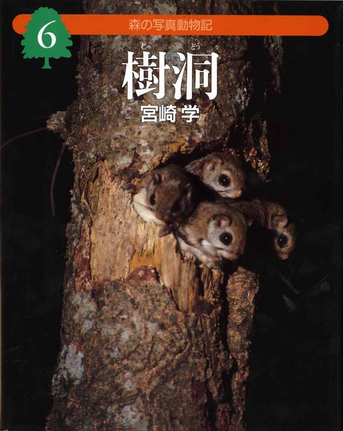 森の写真動物記 6