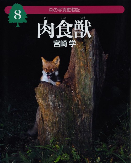 森の写真動物記 8