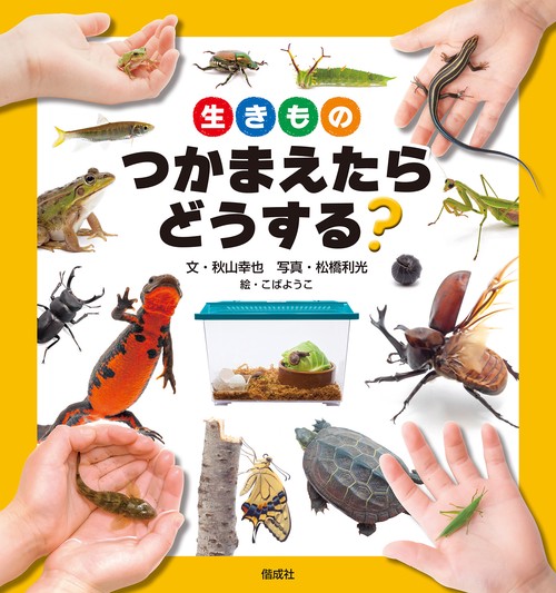 生きものつかまえたらどうする?