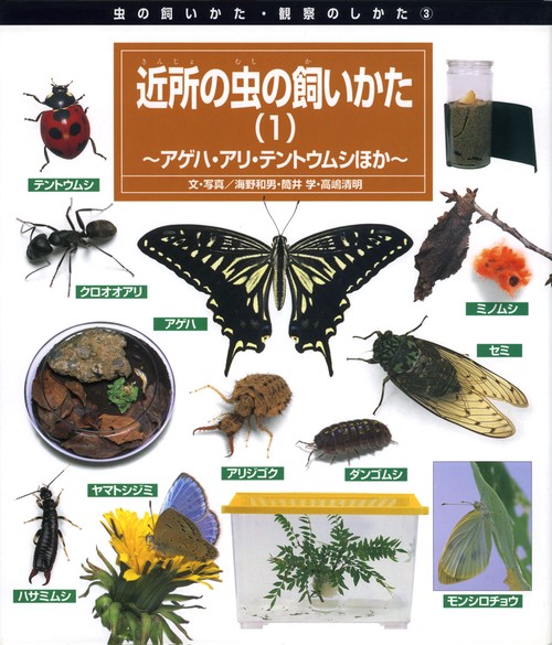 近所の虫の飼いかた 1