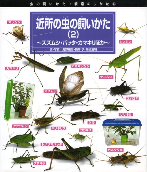 虫の飼いかた・観察のしかた 4