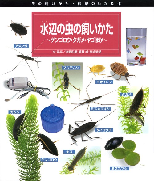 虫の飼いかた・観察のしかた 6