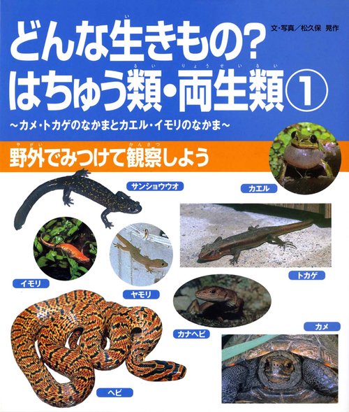 どんな生きものはちゅう類・両生類 1