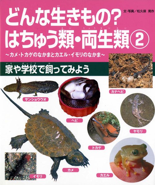 どんな生きものはちゅう類・両生類 2