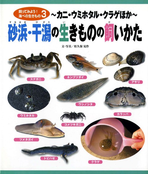 飼ってみよう海べの生きもの 3