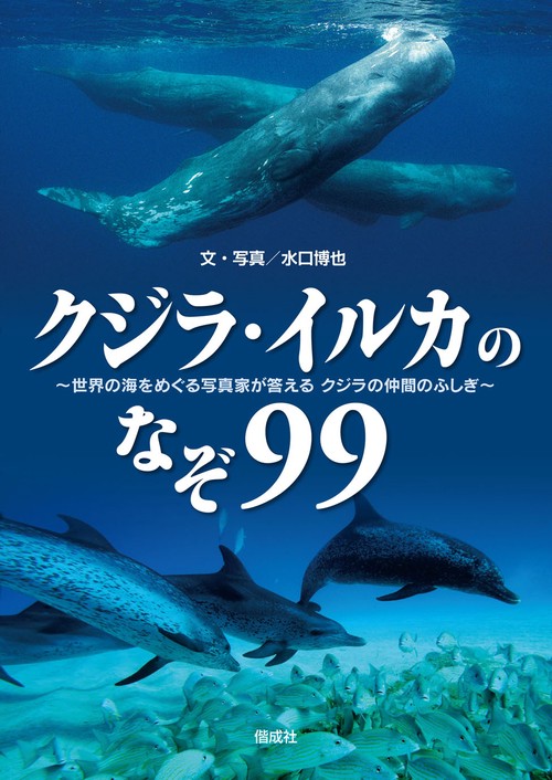 クジラ・イルカのなぞ99 世界の海をめぐる写真家が答えるクジラの仲間のふしぎ