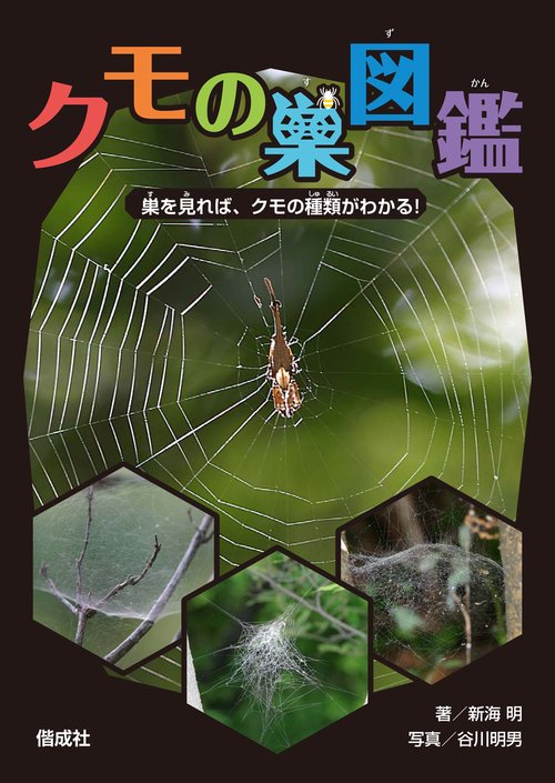 クモの巣図鑑 巣を見れば、クモの種類がわかる!