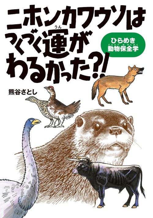 ニホンカワウソはつくづく運がわるかった?! ひらめき動物保全学