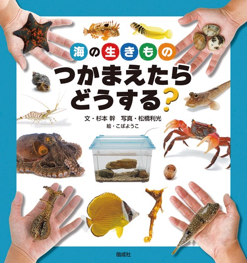 海の生きものつかまえたらどうする?